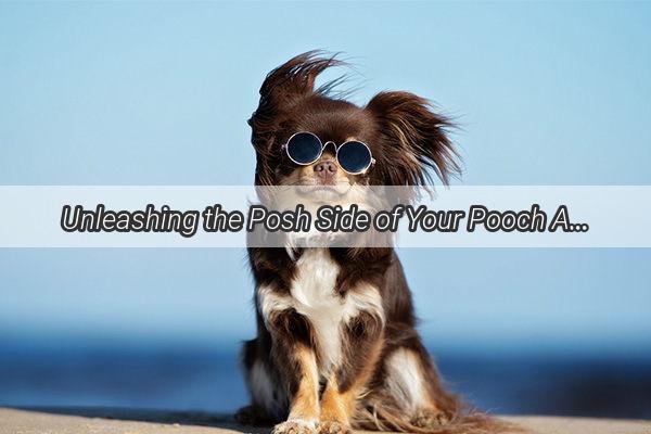 Unleashing the Posh Side of Your Pooch A Guide to Raising a Stylish Pomeranian